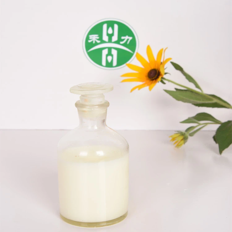 Monomeras riebalų rūgštis